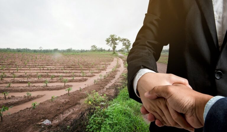 1590861287_zemelnyy_uchastok_0-1