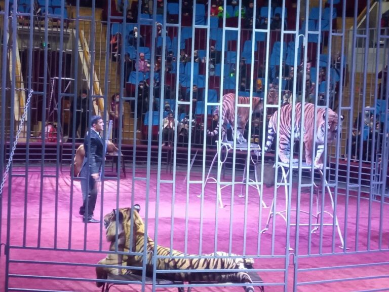 photo_2022-01-26_13-47-56