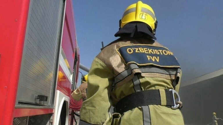 19154855_178_0_1280_620_1920x0_80_0_0_1d479f2aebe092a56de5db8cc00c9207