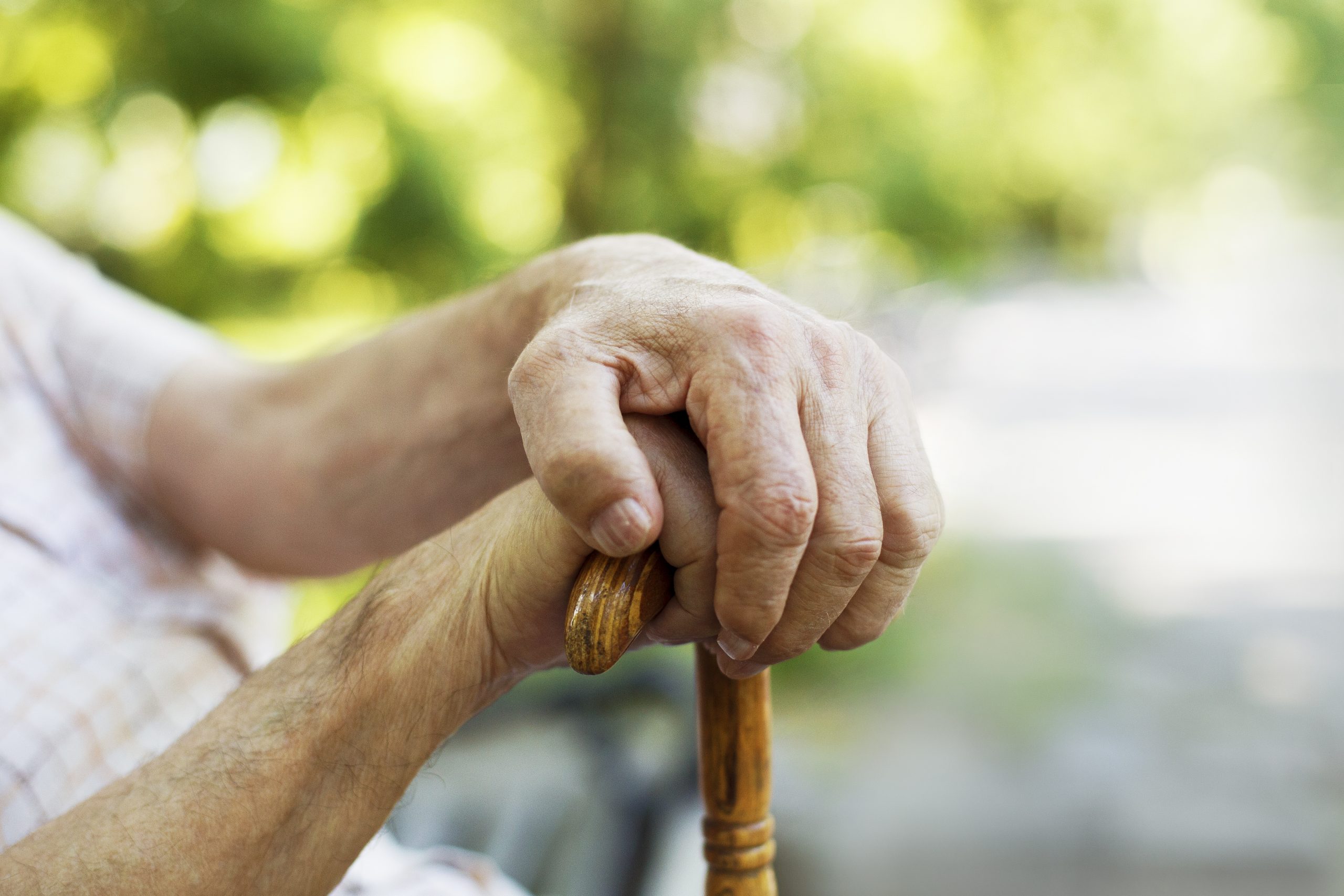 Depositphotos_45574783_xl-2015-scaled