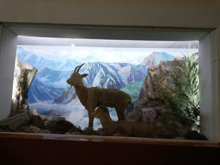 photo_2021-12-18_10-29-01