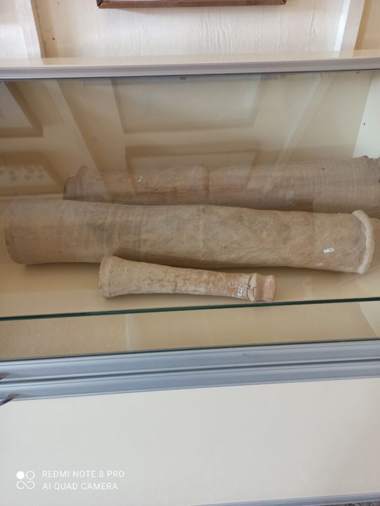 photo_2022-04-18_17-40-52