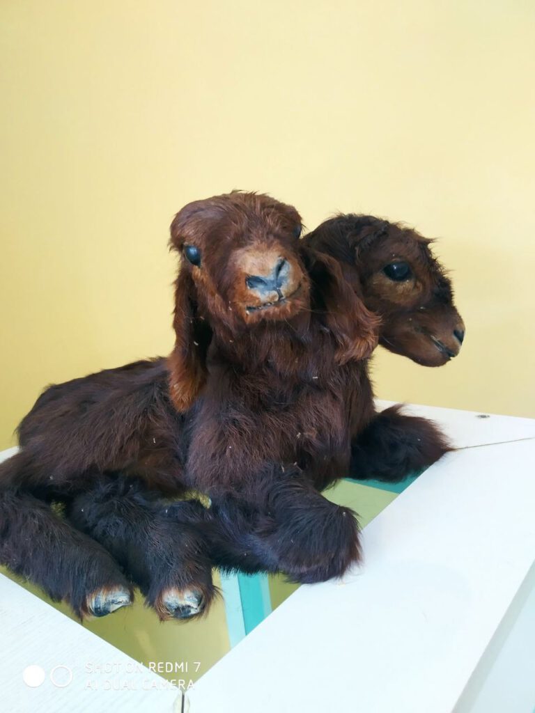 photo_2022-07-14_15-59-55