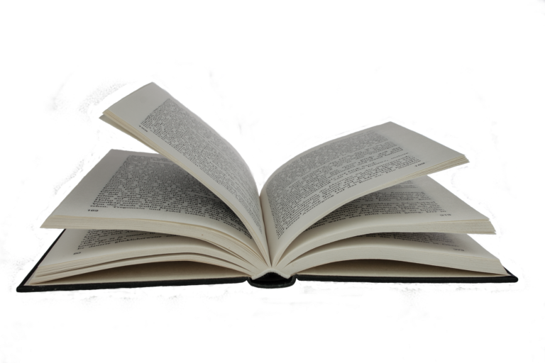 bomperfil_e9ec6cdf1434c8b3f825d37504f599a3