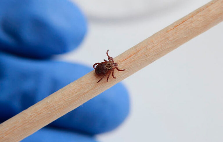 o-u5k3VZsEli7KKgXVdOWEzQhmhuB57y