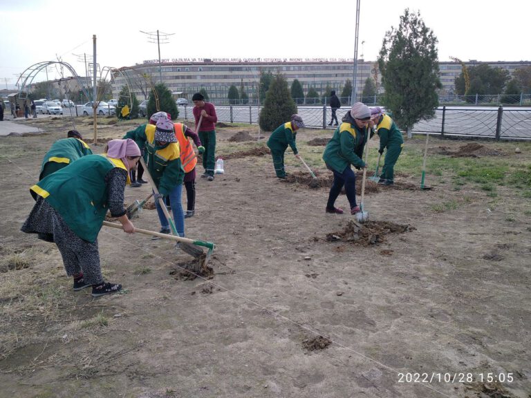 photo_2022-11-02_10-16-22-1