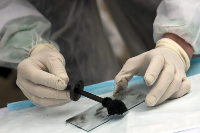 shutterstock_49961977