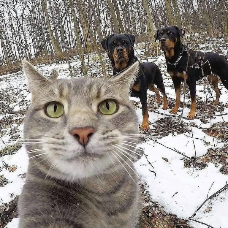 1620640511_263929_url