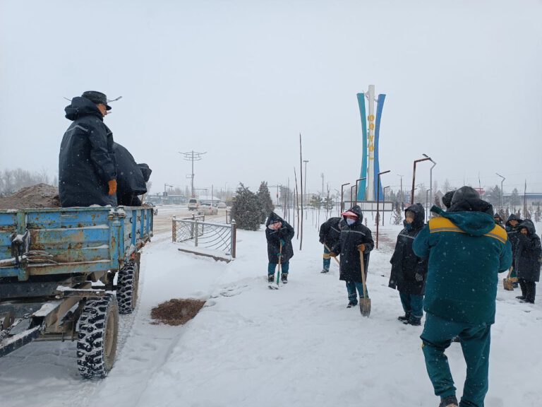 photo_2023-01-11_11-38-44