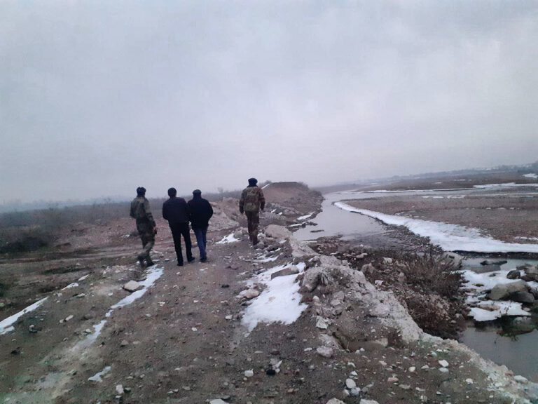 photo_2023-01-31_09-03-53