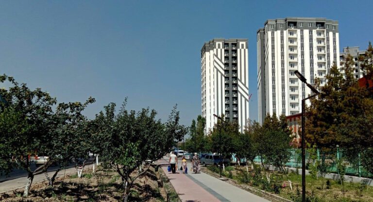 photo_2023-07-10_08-58-19