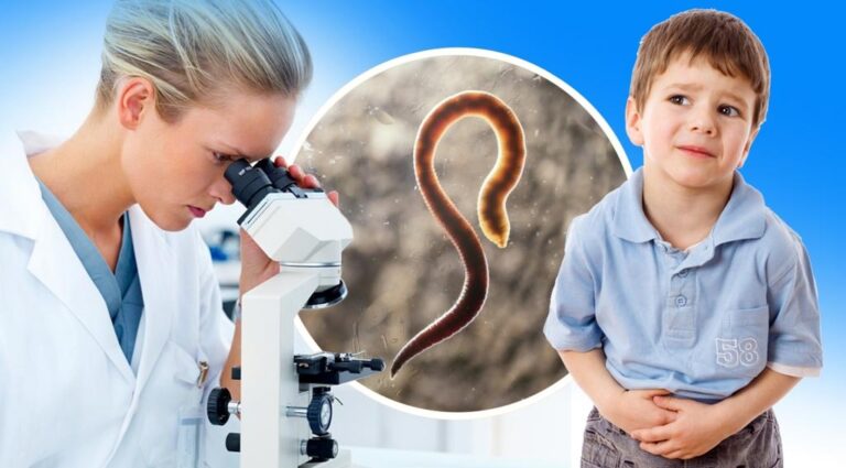 Opredelit-vid-parazita-mozhno-tolko-v-laboratorii