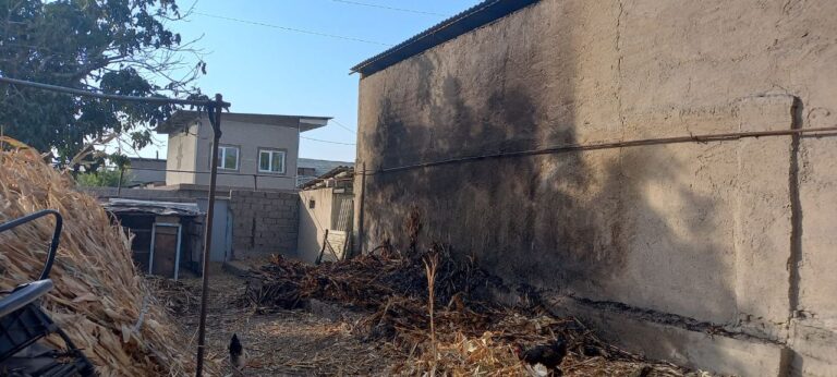 photo_2023-10-09_09-36-29 (2)