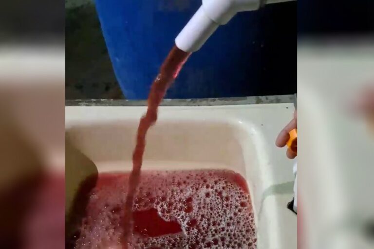 photo_2023-10-11_17-09-07