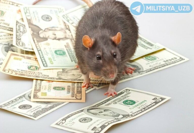 photo_2023-12-18_15-29-52