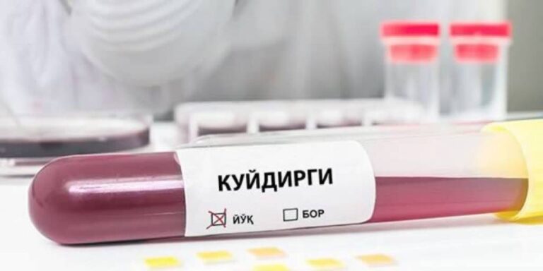 Ld7OSdrTbFZ2I0YCSkLrwYU58NlVczyN_normal