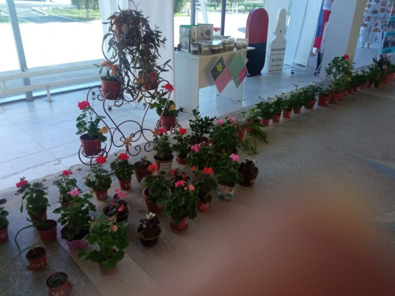 photo_2024-03-16_20-40-13