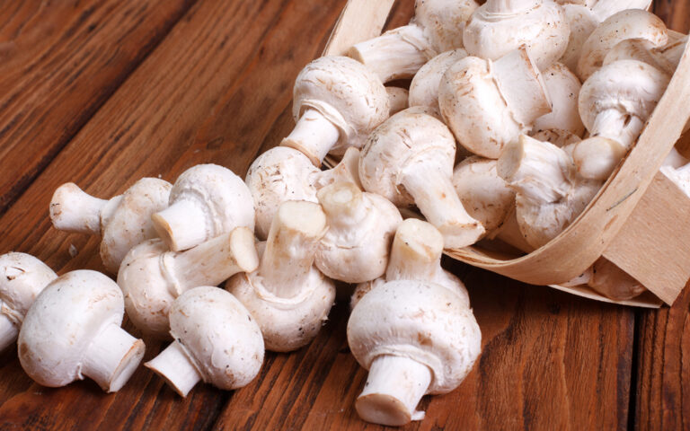 391555-svetik_1920x1200