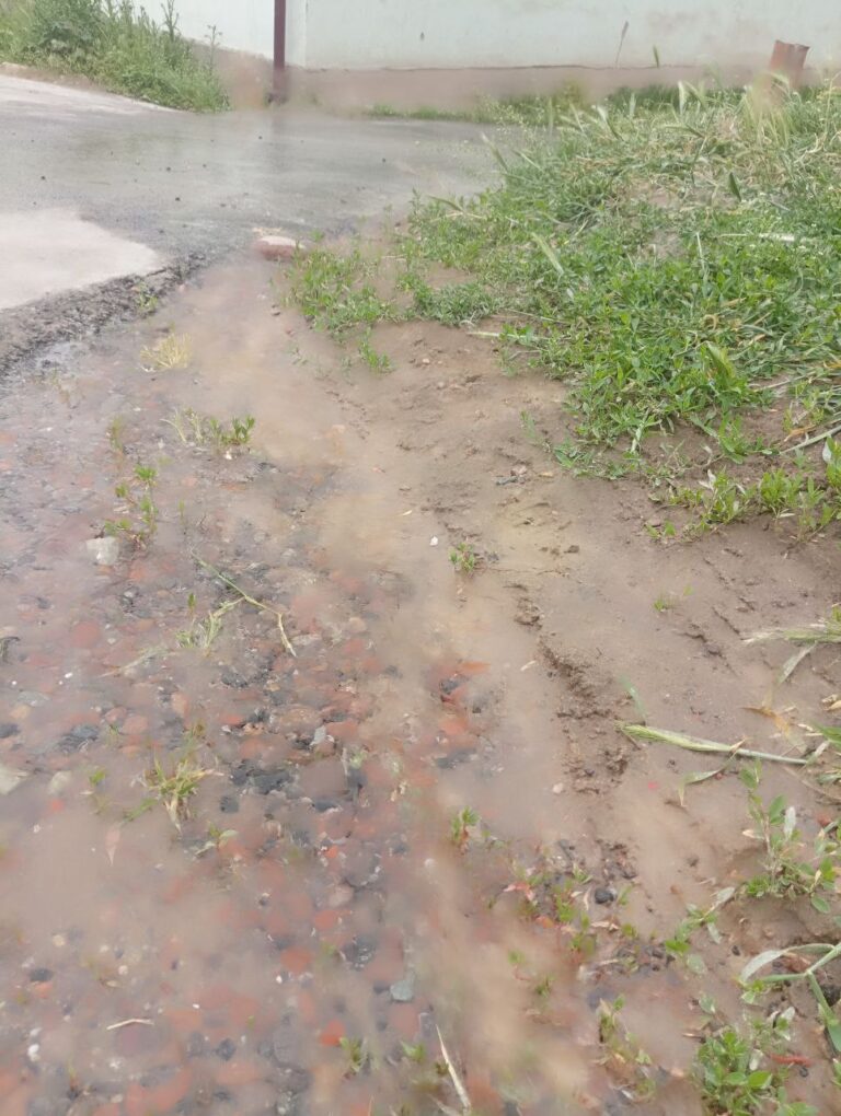 photo_2024-05-04_12-13-46.365