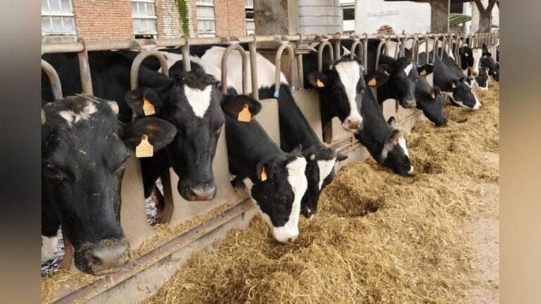 photo_2024-09-17_18-28-54