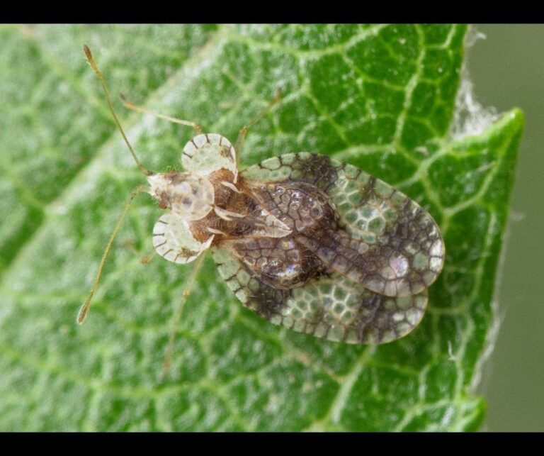 photo_2024-09-26_11-12-02