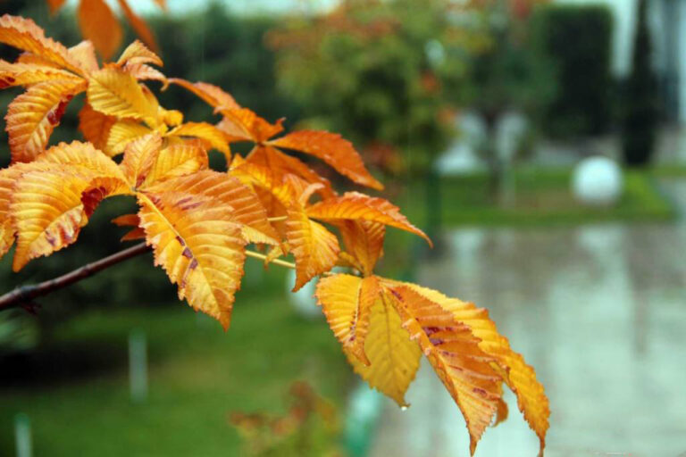 wG6ytAaneNRg7nMnHtVqeb80uY6mJWlw_normal