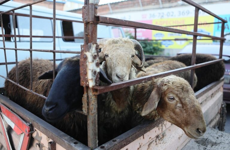 00642eb5e29aa66c8a20d40fd901bc1d