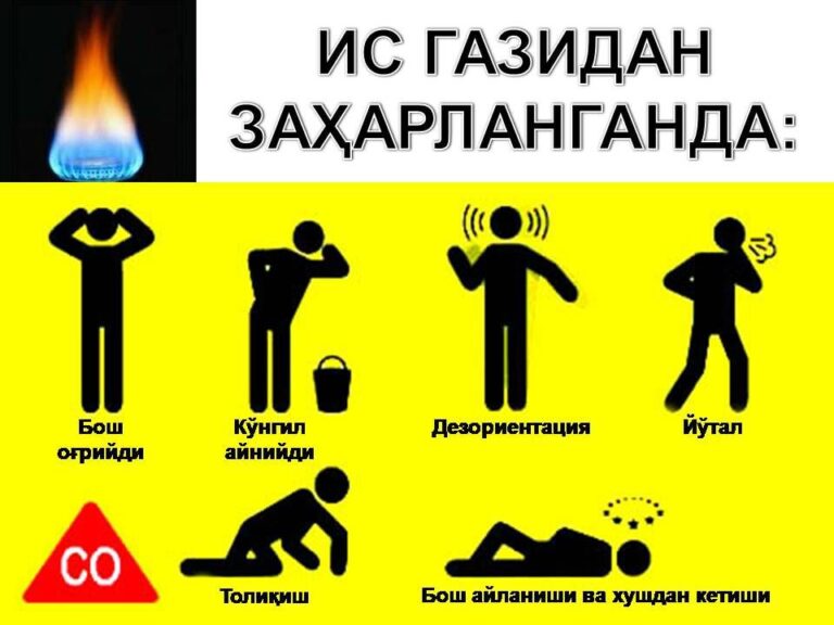 photo_2024-11-01_12-50-34