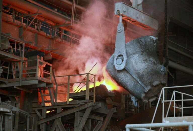 photo_2024-11-21_07-29-27