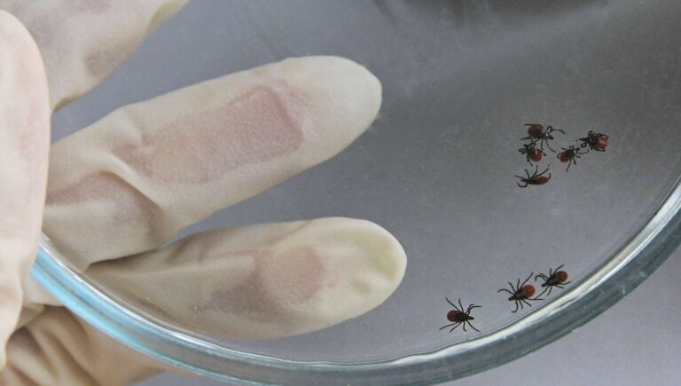 1100658943_0_181_2972_1866_2072x0_60_0_0_30229542a23e40fc766c298108741b7f