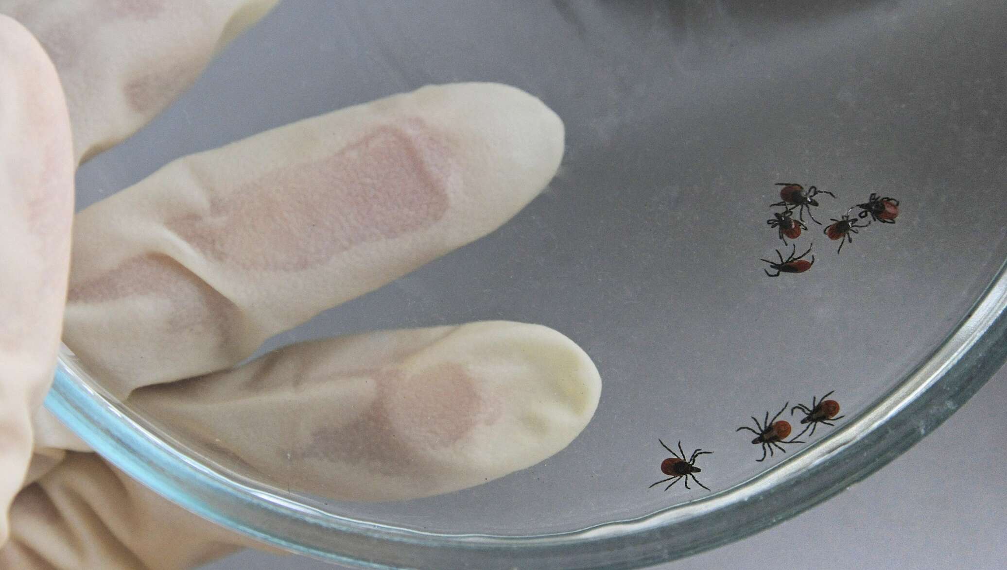 1100658943_0_181_2972_1866_2072x0_60_0_0_30229542a23e40fc766c298108741b7f