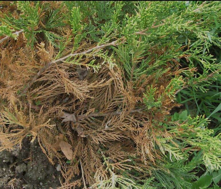 photo_2025-01-27_16-03-53