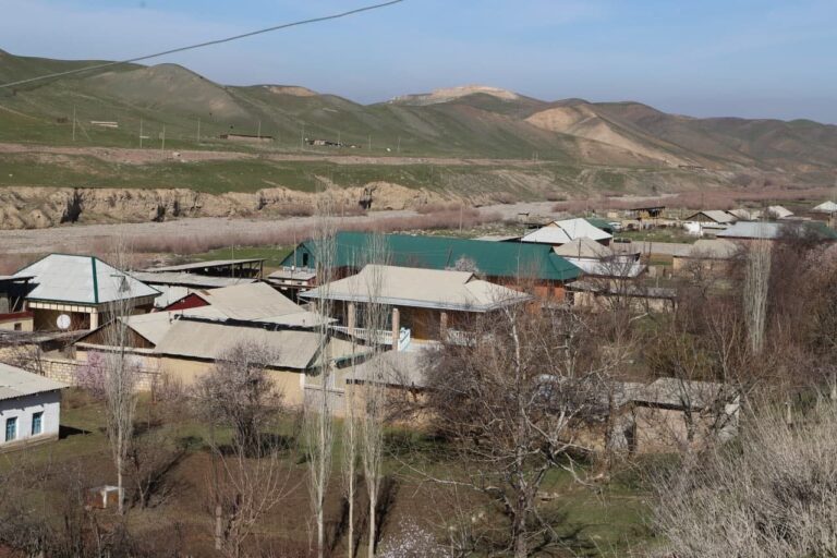 photo_2022-03-04_12-07-43