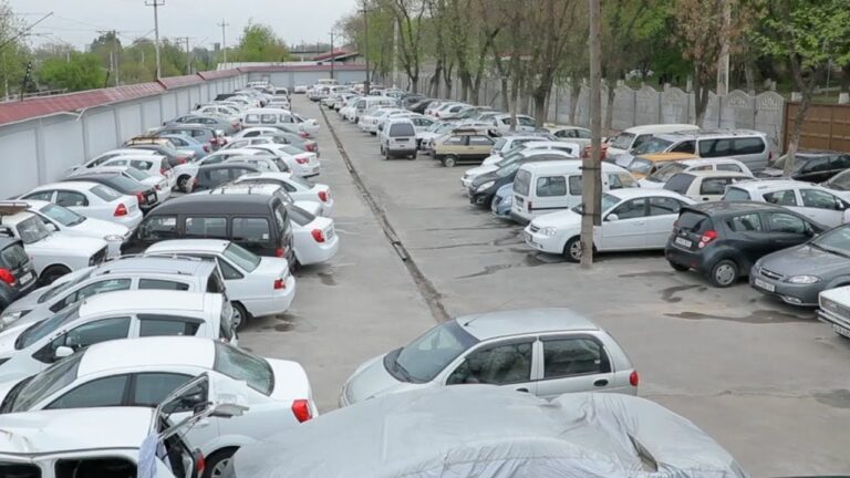 photo_2025-07-15_14-14-09