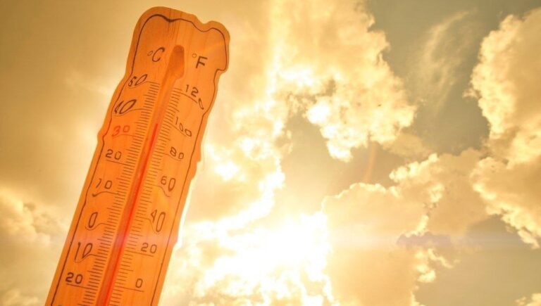 photo_2025-07-29_20-06-59