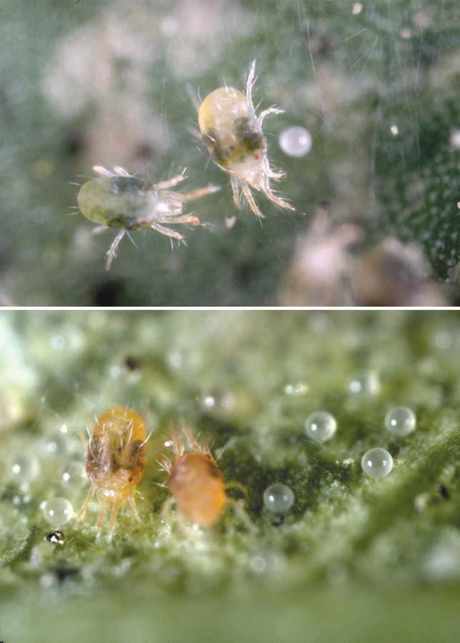 photo_2025-08-13_09-30-45