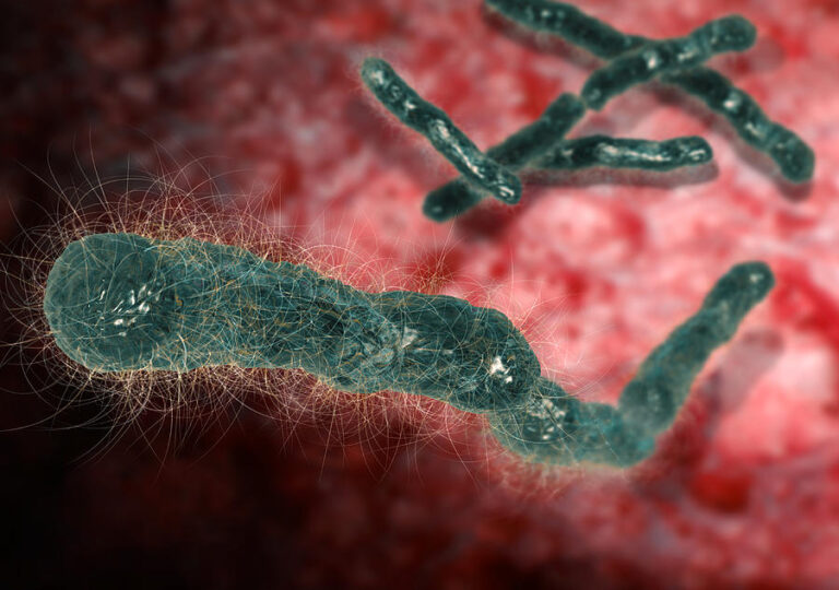 1-anthrax-bacteria-karsten-schneider