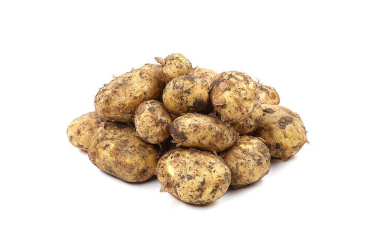 6db1d8fd0d0ef68a15ffc