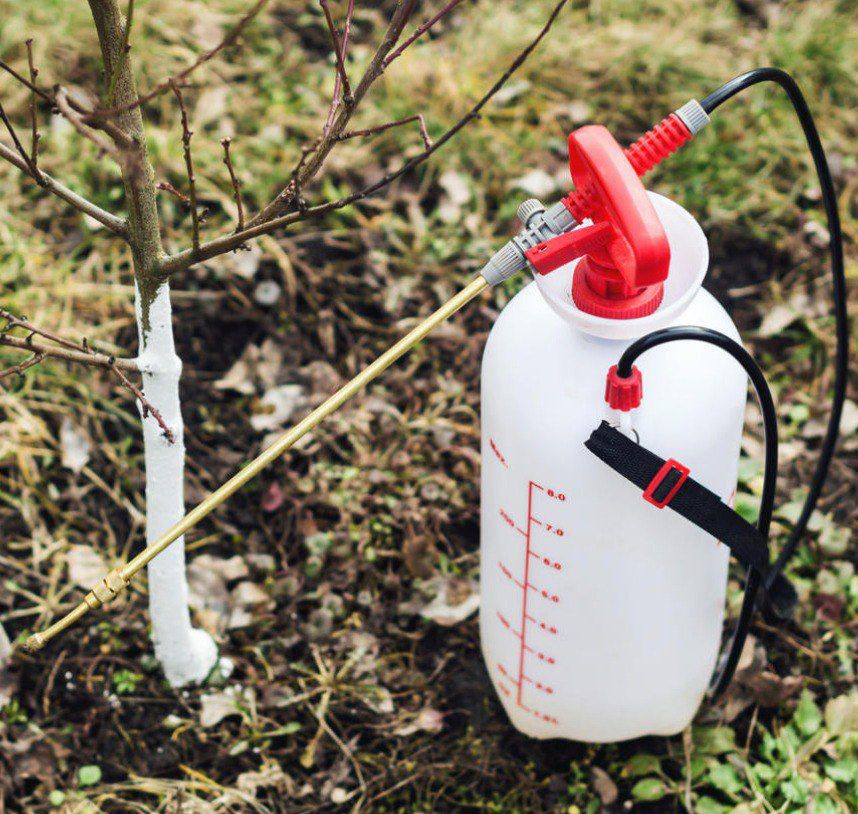 photo_2021-01-14_08-19-53