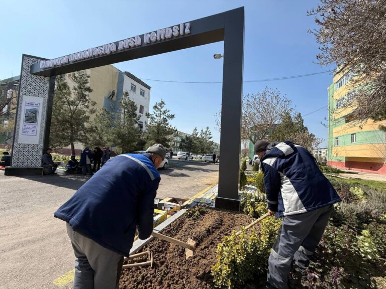 photo_2026-03-14_13-32-45