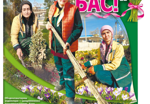 photo_2026-03-22_22-18-39