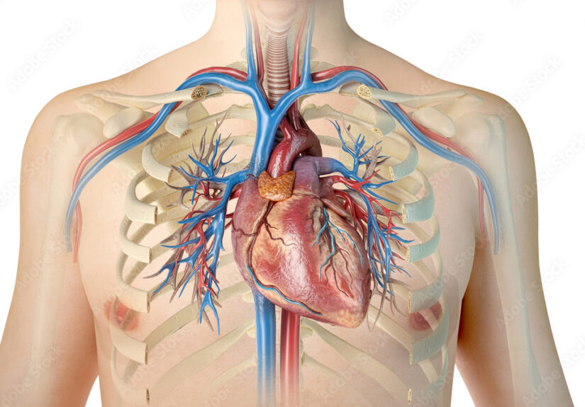 1000_F_259536844_2mjCJmnk5P0vpsVeMEwj3hxCngUnbUzU