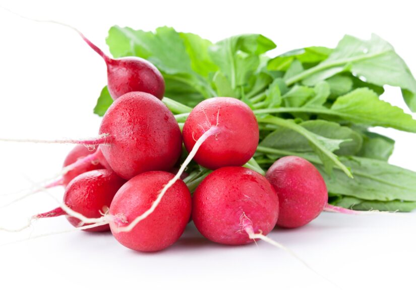 570fec4022000029002538d5