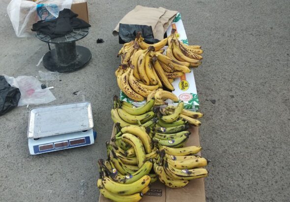 photo_2024-08-01_10-22-40