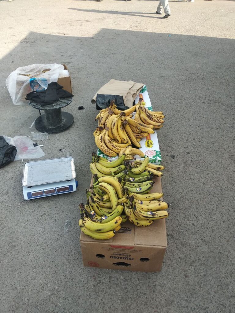 photo_2024-08-01_10-22-40