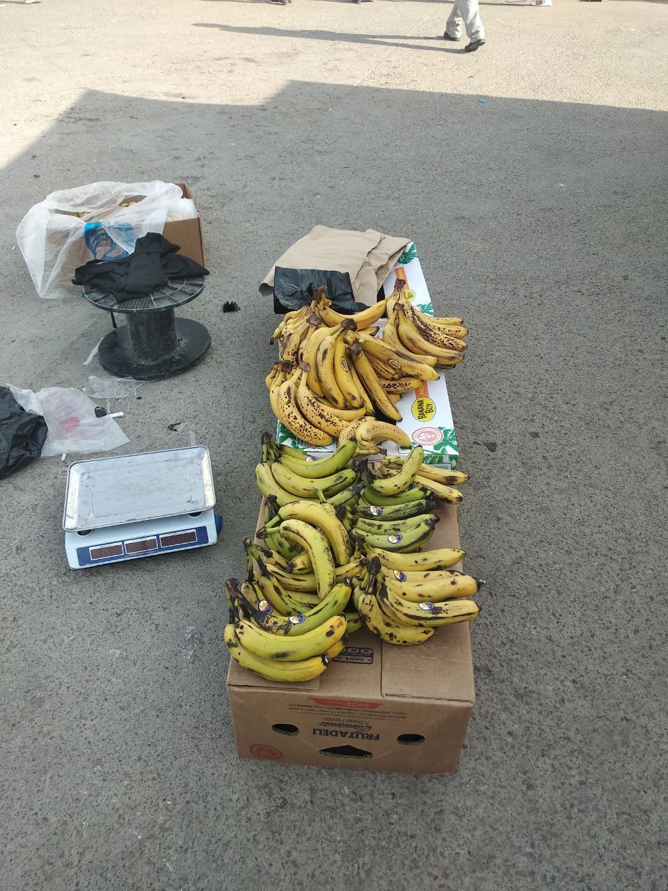 photo_2024-08-01_10-22-40