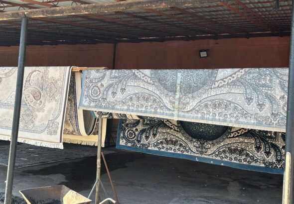 photo_2026-03-10_09-15-31