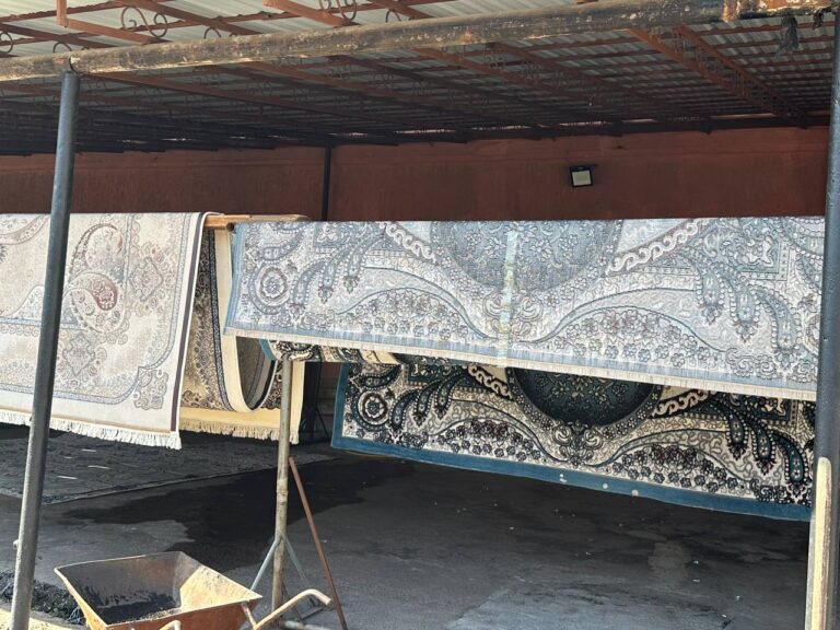 photo_2026-03-10_09-15-31