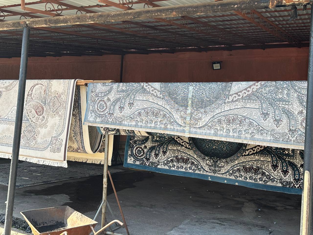 photo_2026-03-10_09-15-31